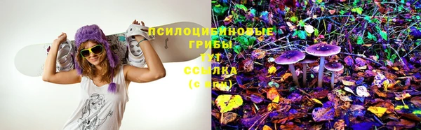 прущий лед Белоозёрский
