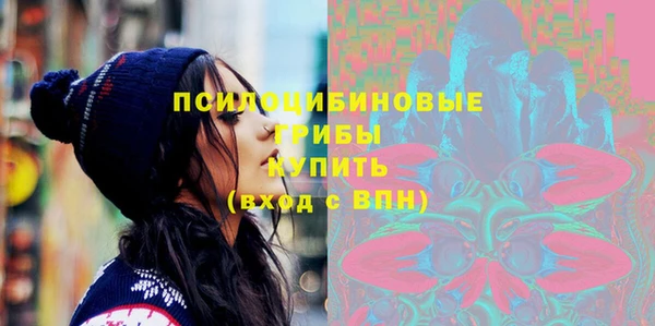 прущие крисы Белокуриха