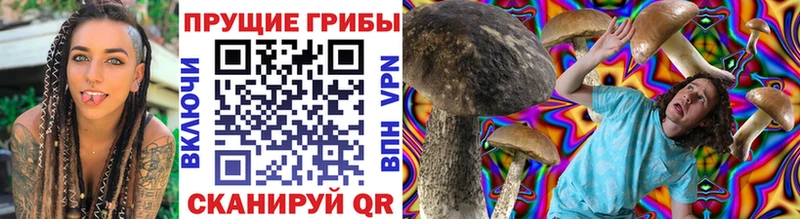 Псилоцибиновые грибы мицелий  наркотики  Велиж 